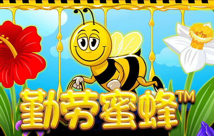 8868体育app bob体彩官网登录